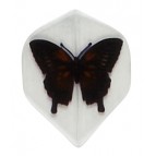 Butterfly Poly Flights